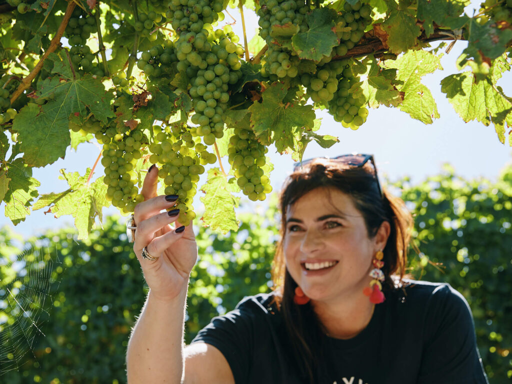 Wine & Fruit Sourcing