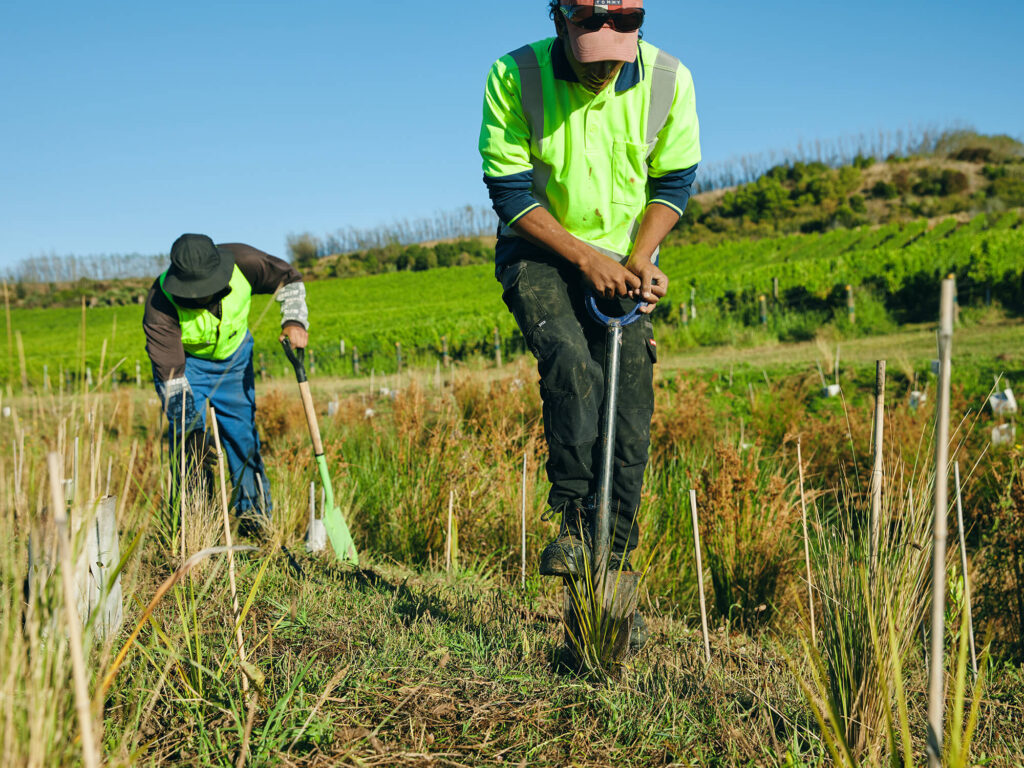 Native Planting